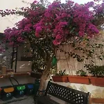 Da Federica Baia Porto Delle Genti Lipari (Isola Lipari)