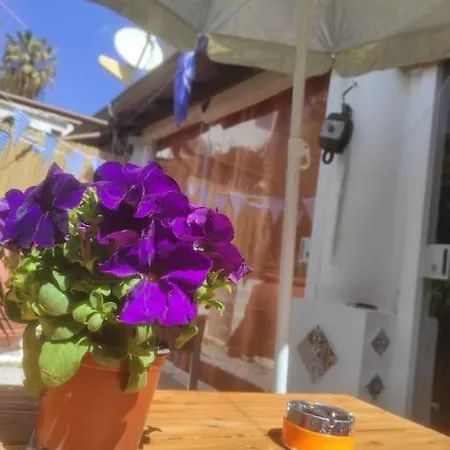 Apartment Da Federica Baia Porto Delle Genti