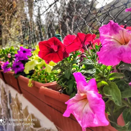 Apartment Da Federica Baia Porto Delle Genti Lipari (Isola Lipari)