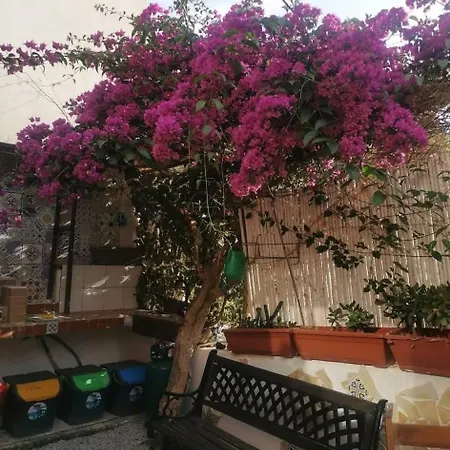 Da Federica Baia Porto Delle Genti Lipari (Isola Lipari)