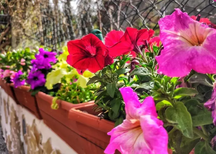 Appartamento Da Federica Baia Porto Delle Genti Città di Lipari