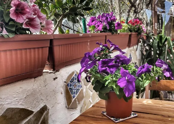 Da Federica Baia Porto Delle Genti *